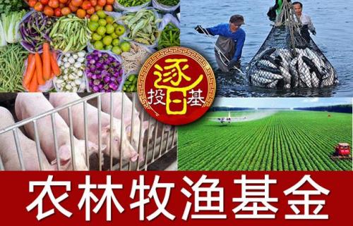 现代农业产业基金(贵州现代农业发展基金)